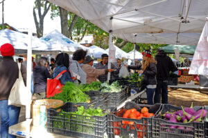 CitySeed Farmers Market