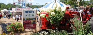 North Branford Potato & Corn Festival