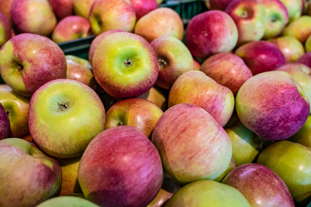 Apples from Bishop's Orchards