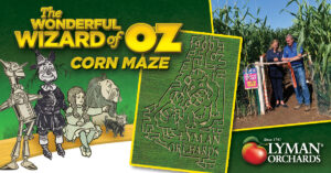 Lyman Orchards "Wizard of Oz" Corn Maze