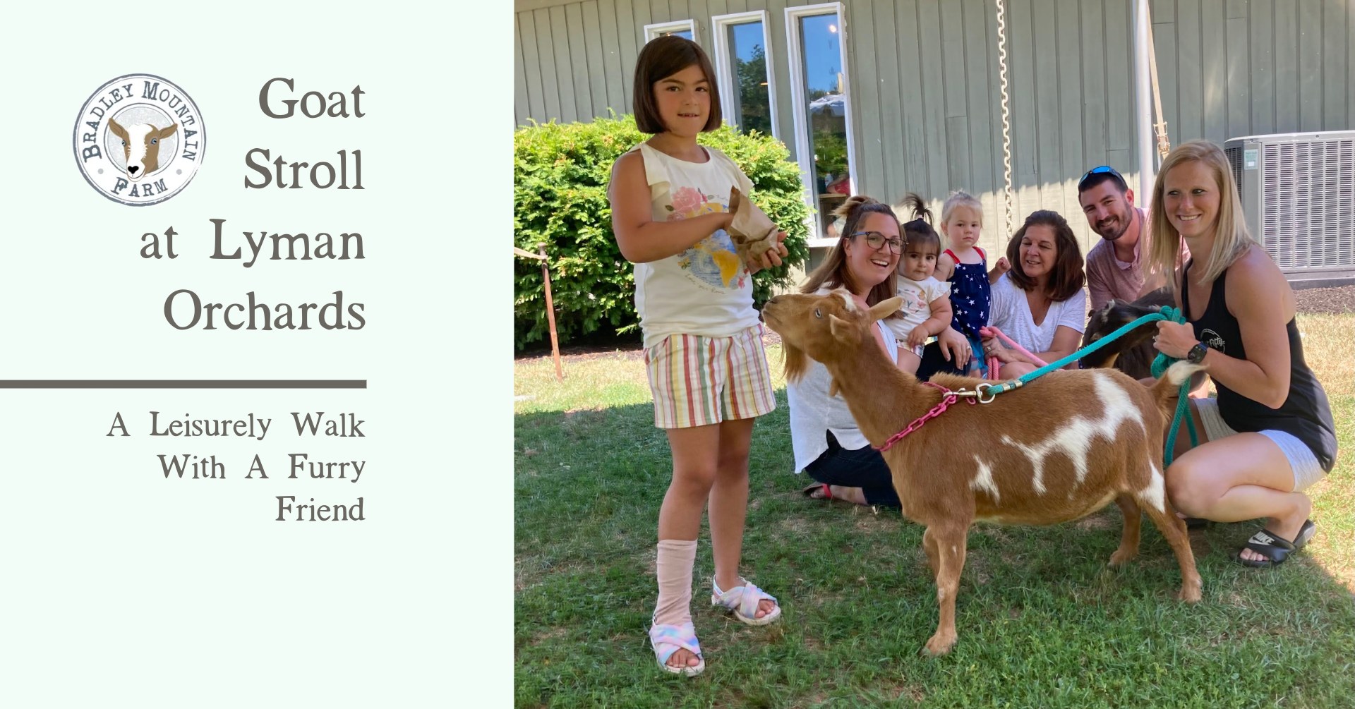 Goat-Stroll-at-Lymans